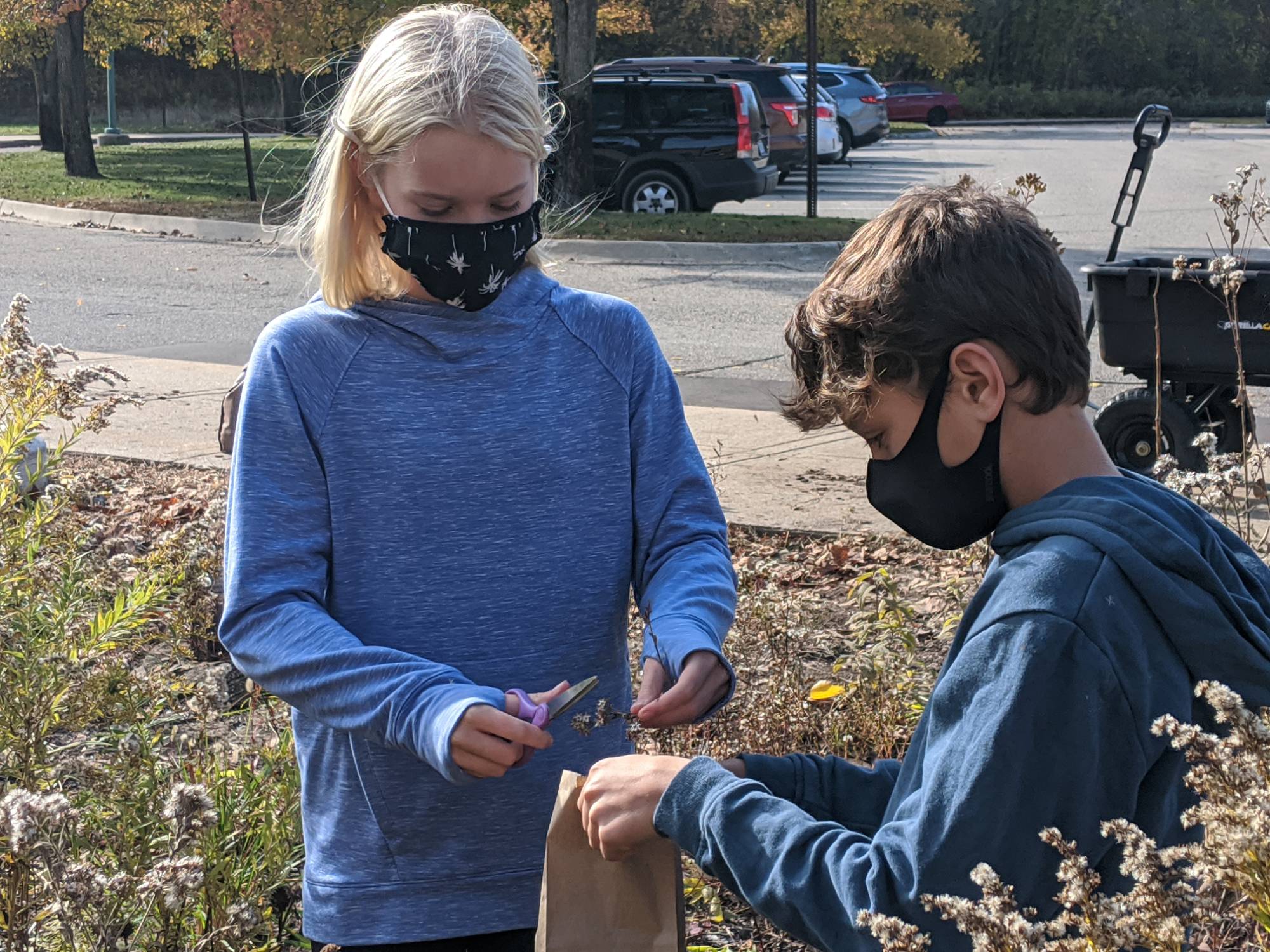 Two students putting native plant seeds in a paper bag